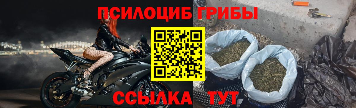 Петрозаводск  Галлюциногенные грибы MAGIC MUSHROOMS  Вход с VPN 